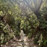 【香菜子さんの鎌倉移住と新しい暮らし】
整えていくなかで、次の暮らしが見えてきた〈第８回〉