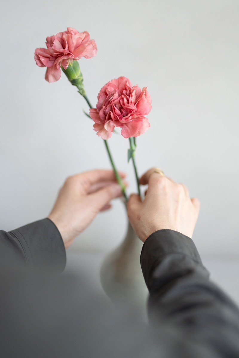 数輪のカーネーションをいけ、花びらの重なりを楽しんで