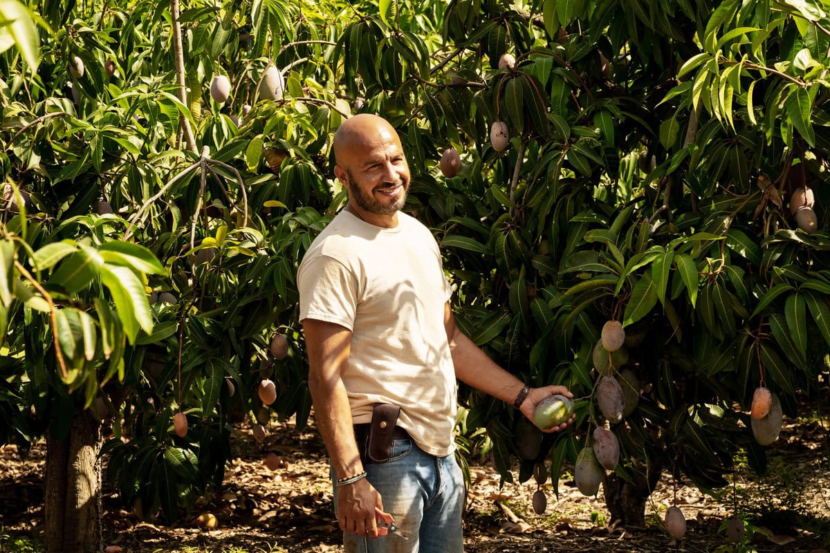 スペインのマンゴー農園が舞台。Netflix映画『マンゴー』独占配信中