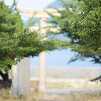 香川県・佐柳島の猫