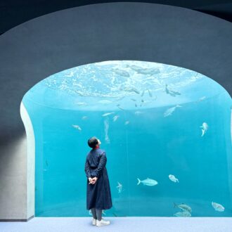 【50代の四国旅】かわいいカワウソに出合える「四国水族館」＆空を泳ぐ金魚を撮影できる「ゴールドタワー」へ