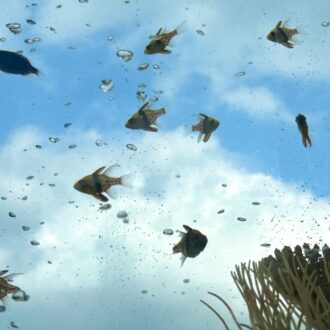 ゴールドタワー 01