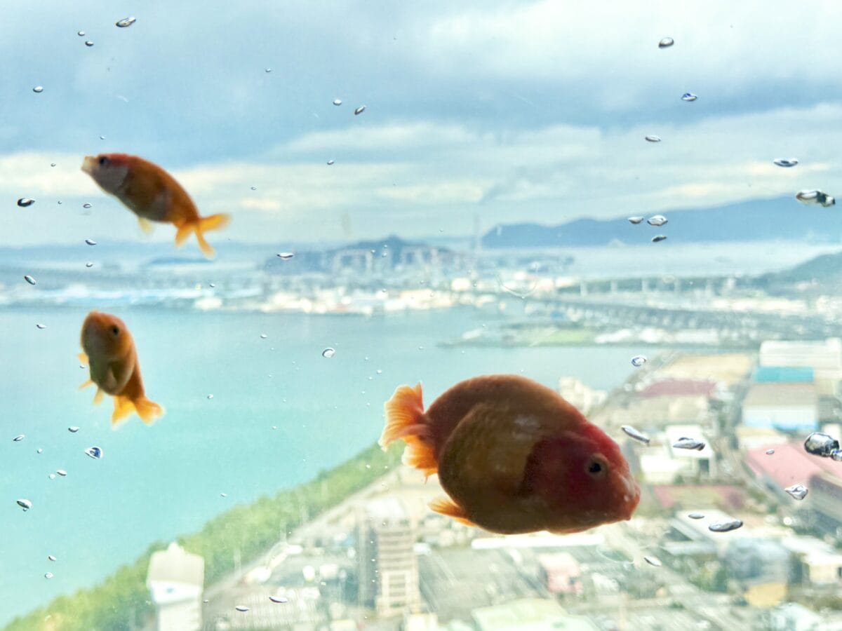 ゴールドタワー 04