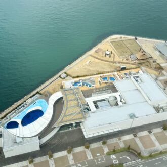 ゴールドタワー 06