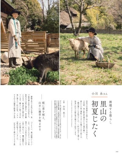 大人のおしゃれ手帖 2026年6月号