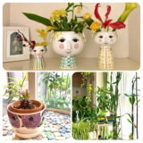 「これが100均のサボテン!?」ダイソー植物を10年以上育てた驚きの姿。IKEA＆プチプラで作る、おしゃれなグリーンインテリアも　～毎日ごきげん帖Vol.20～