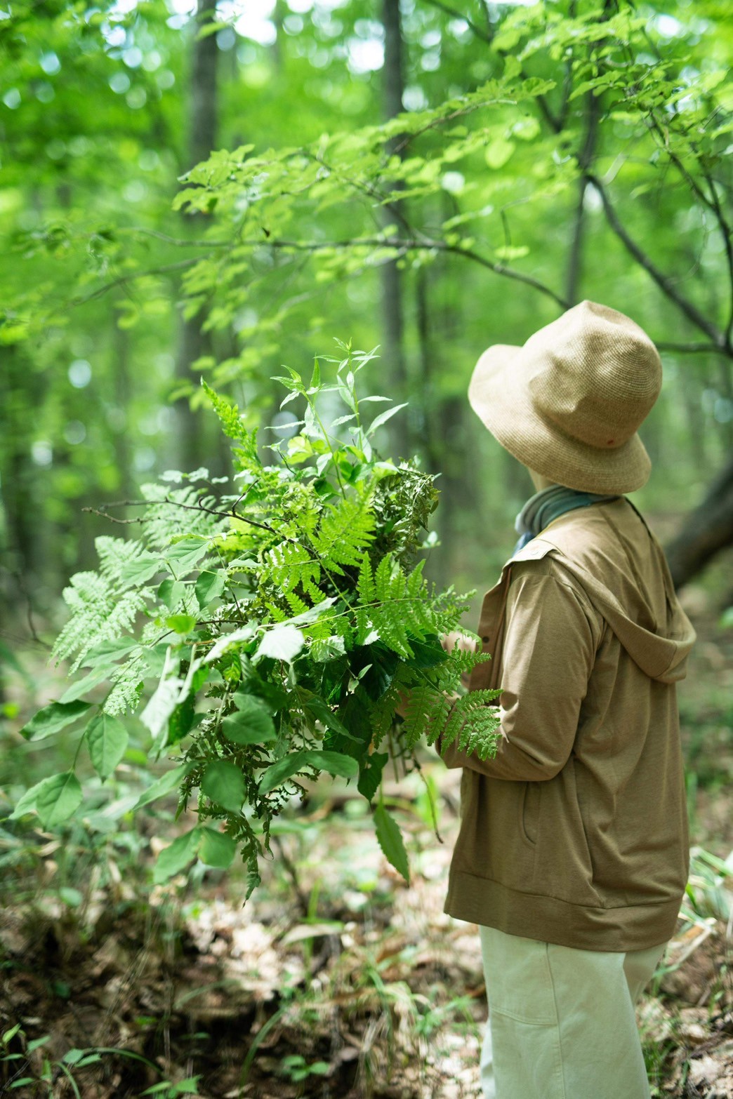 新緑の季節。森のなかに入って植物を採取することがあります。