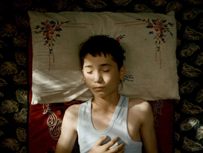 『ボタニスト 植物を愛する少年』は2026年5月15日より全国順次公開。©2025 MONOLOGUE FILMS ALL RIGHTS RESERVED / ReallyLikeFilms