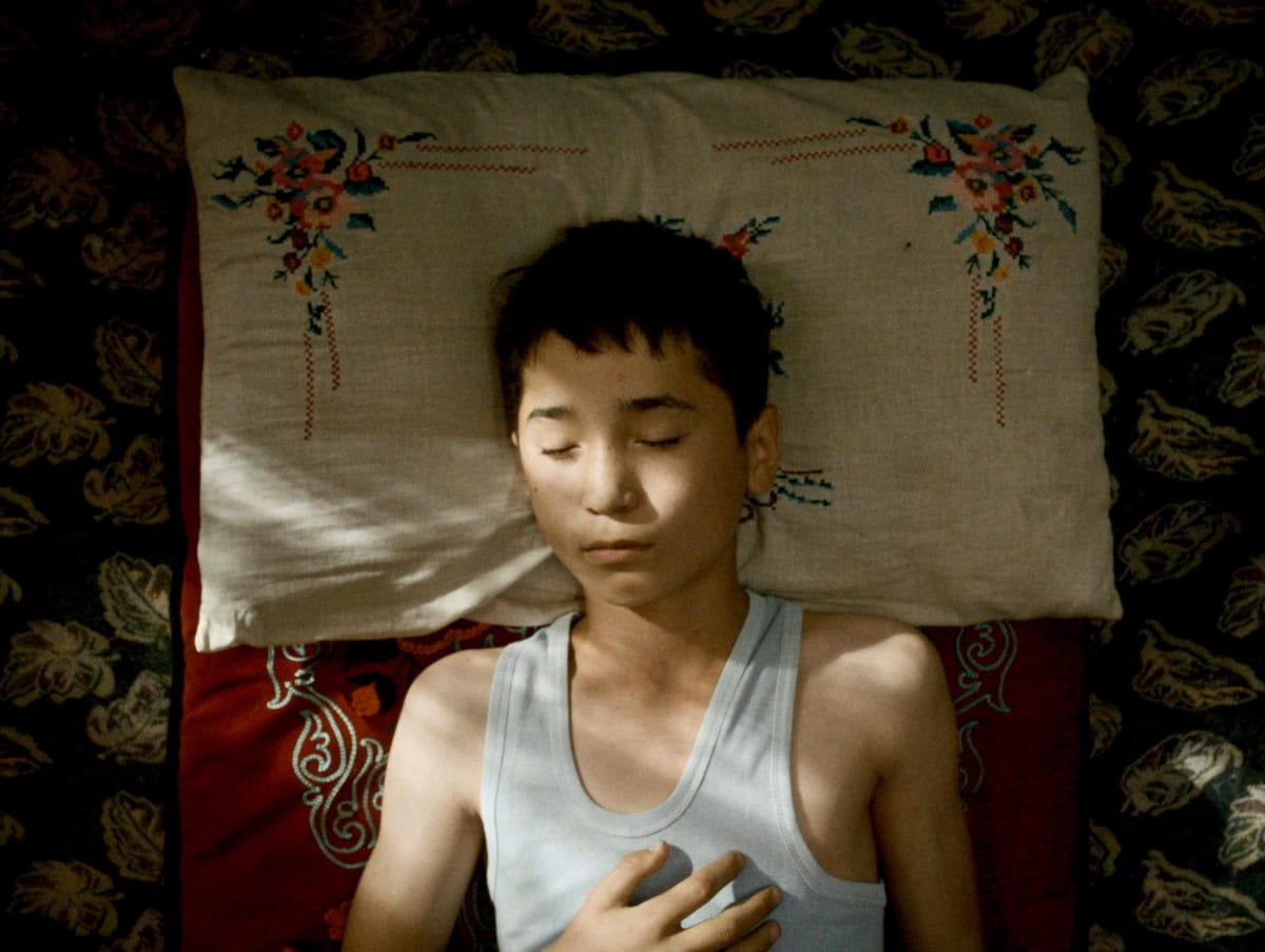 『ボタニスト 植物を愛する少年』は2026年5月15日より全国順次公開。©2025 MONOLOGUE FILMS ALL RIGHTS RESERVED / ReallyLikeFilms