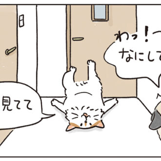 猫マンガ
液体？個体！「猫からのプチ挑戦状」