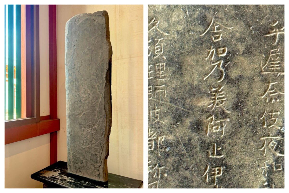 奈良・薬師寺 22