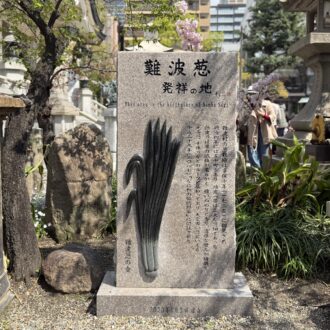 難波八坂神社 05