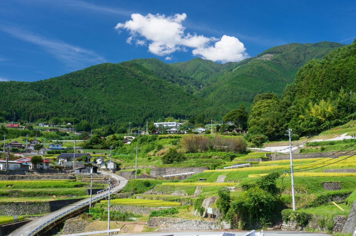 iju02