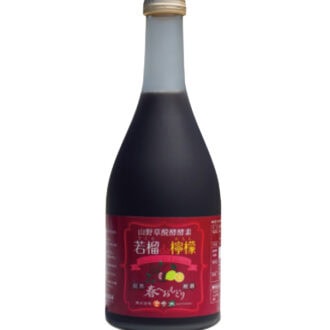 若榴da檸檬 500mL¥6,100／言歩木