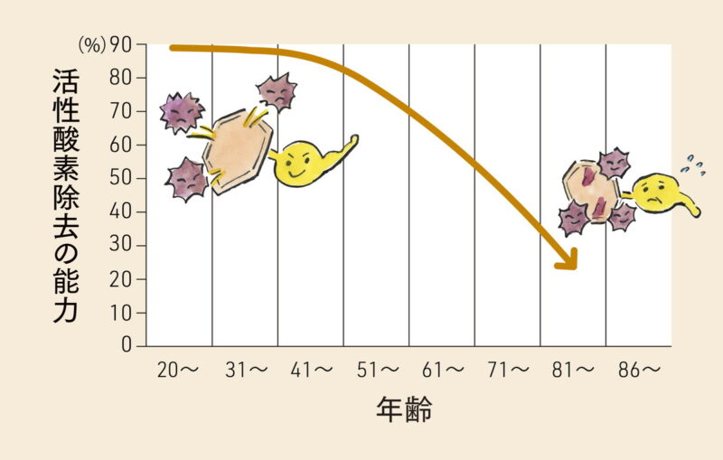 年齢とともに、体の抗酸化能力も低下していく