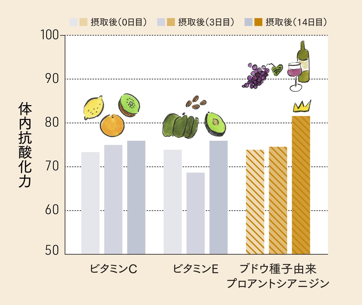 ブドウ種子由来プロアントシアニジンの抗酸化作用に注目！