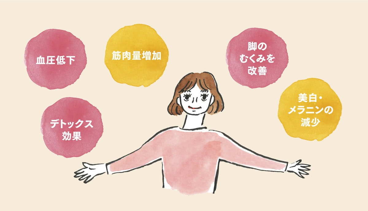 ブドウ種子由来プロアントシアニジンにはこんな効果も