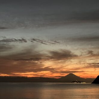 海辺を歩く心地よさを知ったのは葉山に移住してから