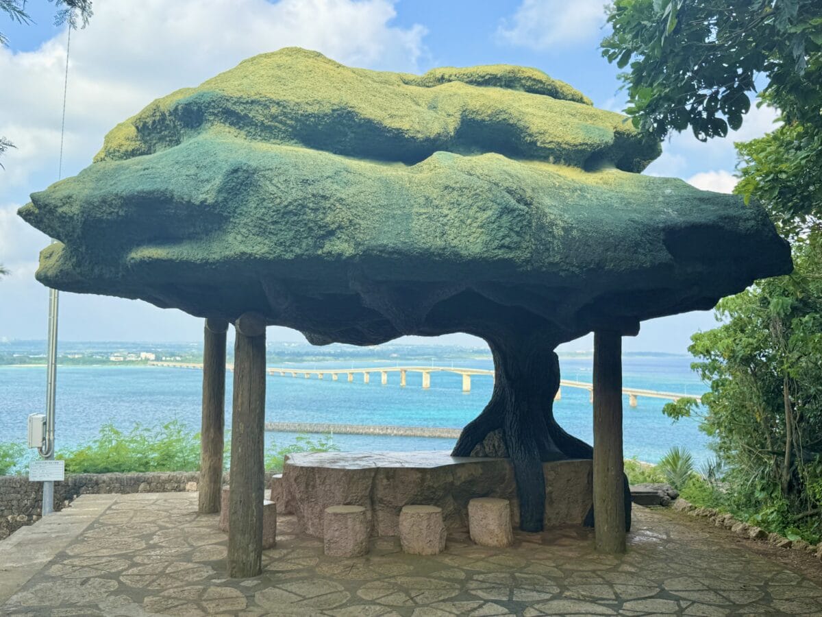 宮古・来間島　ガジュマル展望台