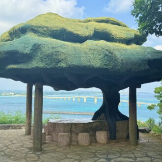 宮古・来間島　ガジュマル展望台