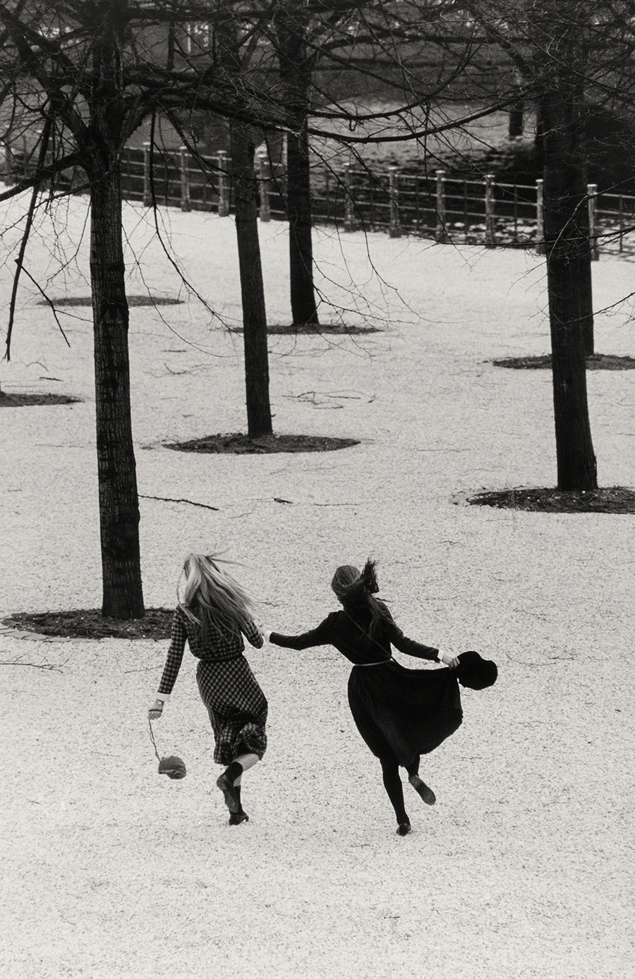 ジビレ・ベルゲマン《アネッテとアンゲラ、ルストガルテン、 ベルリン》1982 年 © Estate Sibylle Bergemann. Courtesy Loock Galerie, Berlin