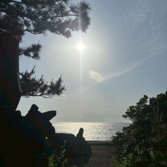 車にのって仕事へ。愛犬を連れて散歩に。早朝や夕方によく海辺を通ります。