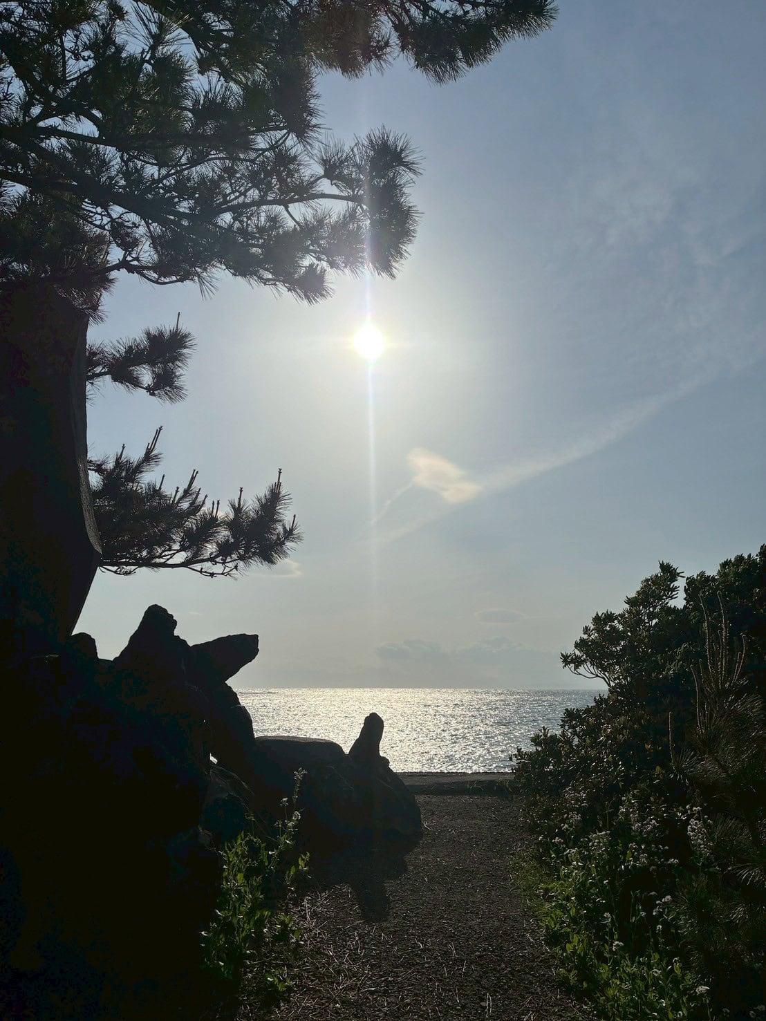 車にのって仕事へ。愛犬を連れて散歩に。早朝や夕方によく海辺を通ります。