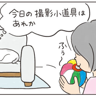 【読み切り猫マンガ】ねころびもひとしお
『ベストショットは突然に？』