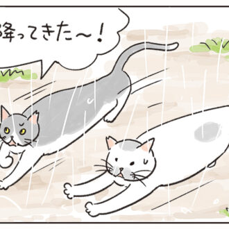 猫4コマ漫画「ねころびもひとしお」【雨宿り、失敗…？】