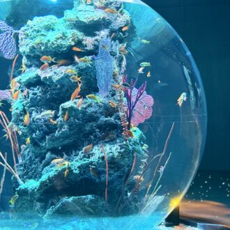 【50代の神戸旅】劇場みたいな水族館「アトア」&日本唯一のチョコレートパッケージ専門ミュージアム