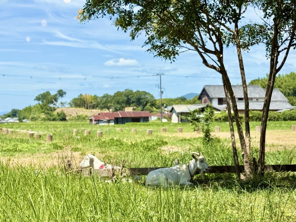 奈良・明日香村　飛鳥宮跡