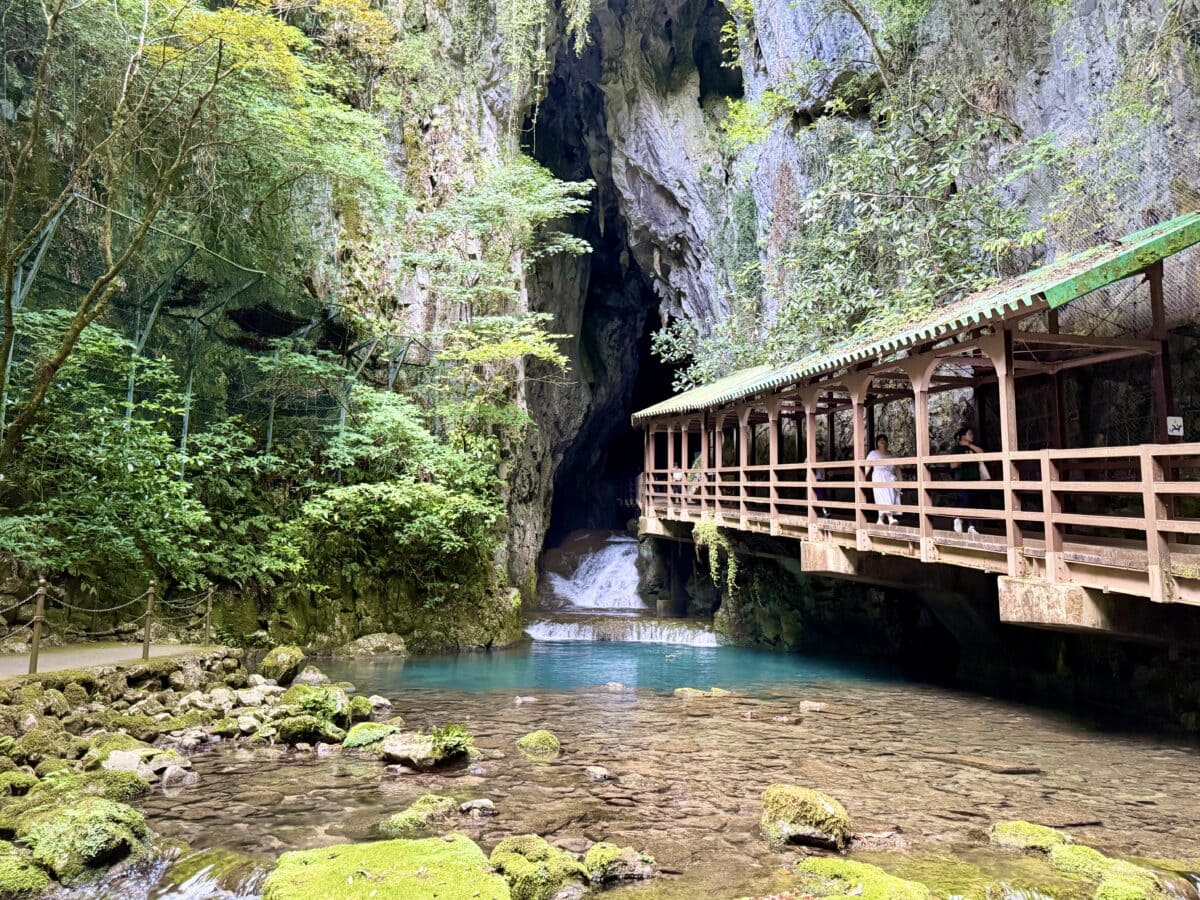 山口県美祢市 秋芳洞03