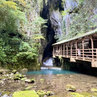 山口県美祢市 秋芳洞03