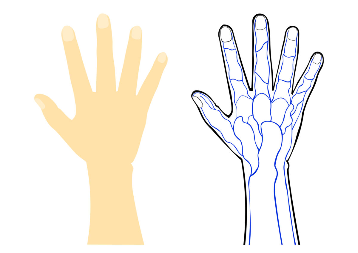 Hand vein02