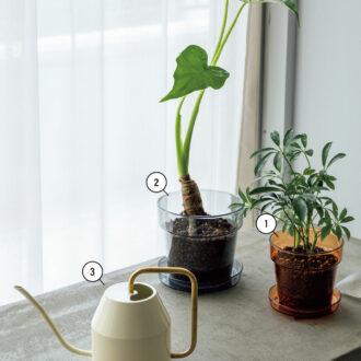 ❶みつまさんイチオシの植木鉢。「クリアカラーの鉢なんて珍しいですよね。陶器製な どと比べて軽やかな印象で、グリーンがよりスタイリッシュに見えます。鉢底の排水穴が 大きく、水はけもバッチリです」。トレイ付植木鉢（クリアアンバー）4号 ¥220 ❷トレイ付植木鉢（クリアグレー）5号 ¥330／❶❷ともにStandard Products ❸出しっぱなしでもおしゃれなじょうろ。ヴァッテンクラッセじょうろ アイボリー／ゴールドカラー ¥999／イケア